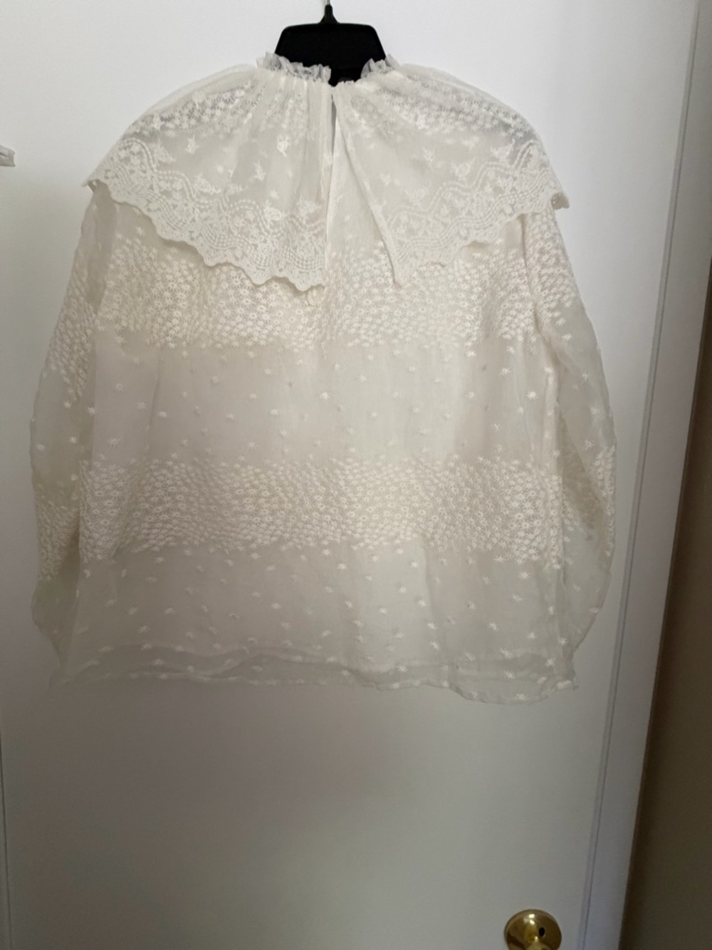Zara Cream Lace Yoke Sheer Dot Blouse